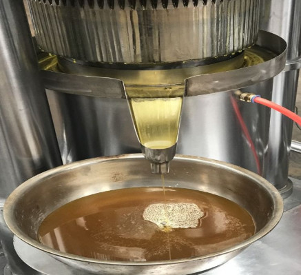1.1KW Εύκολη λειτουργία Υδραυλικό πρέσαρ πετρελαίου Μηχανή παρασκευής ελαιόλαδου μεσημερινού 6YY-185 Εξοπλισμός επεξεργασίας ελαίου αβοκάντο